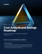 First page of Cost Analysis and Savings Roadmap: sample engagement report, 60 pages, PDF
