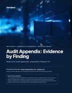 First page of Audit Appendix: Evidence by Finding: sample engagement report, 25 pages, PDF